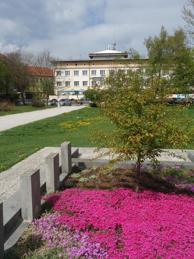 Life Hostel Slovenia Radovljica Exterior foto